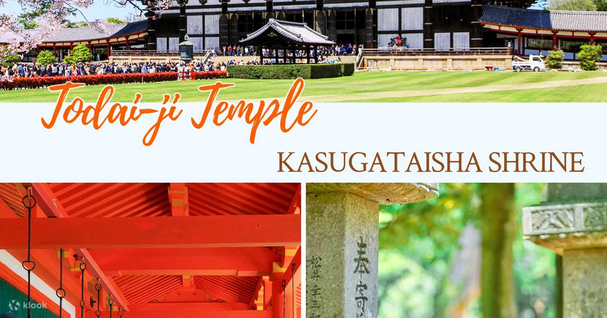 Kioto, Arashiyama, Nara | Tren Sagano, Sendero del Bosque de Bambú